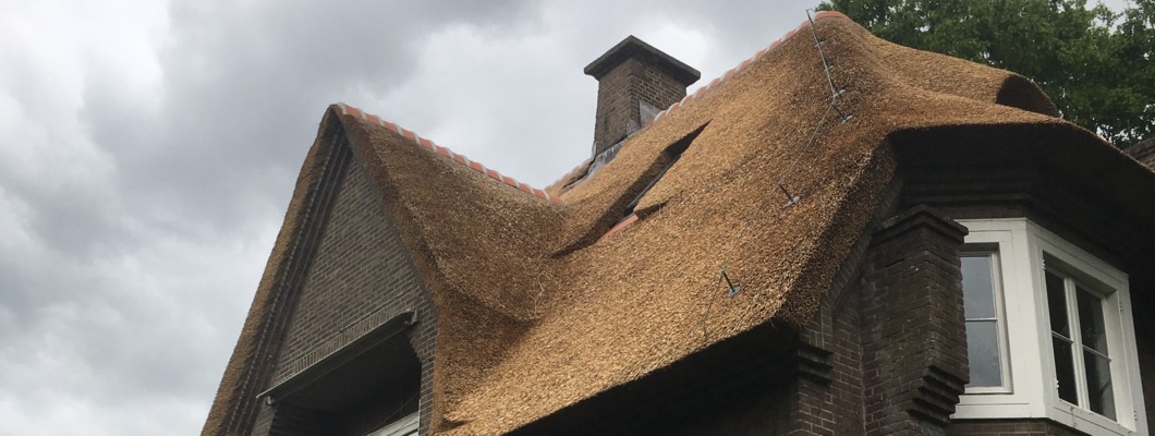 nieuwe rieten daken